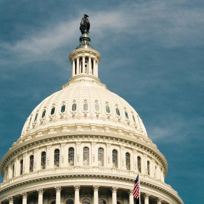 The US Capitol Building in Washington DC