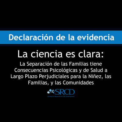 Declaración de la evidencia logo