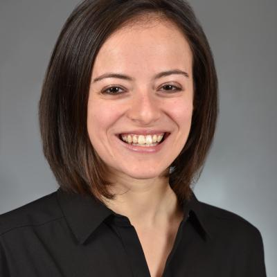 Lisa B. Hurwitz, Northwestern University