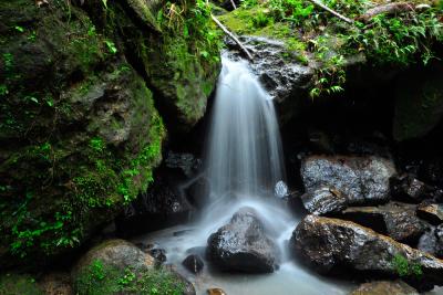 Waterfall in the El Yunque National Rainforest