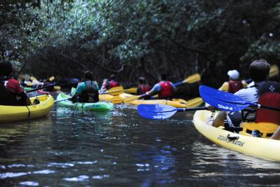 picture of a group of people kayaking in a river in Puerto Rico