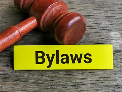 Bylaws 