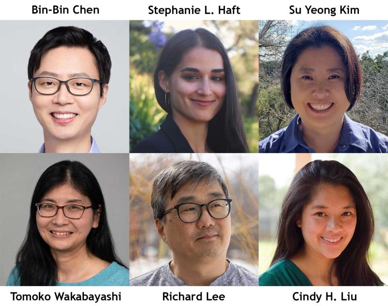 Collage of AAPI Heritage Month Spotlightees: Bin-Bin Chen, Stephanie Haft, Su Yeong Kim, Tomoko Wakabayashi, Richard Lee, Cindy Liu