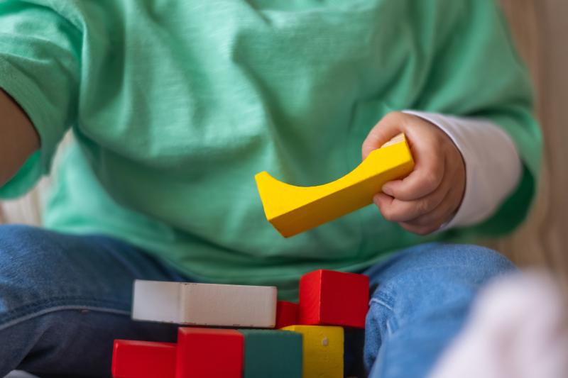 Child with Building Blocks