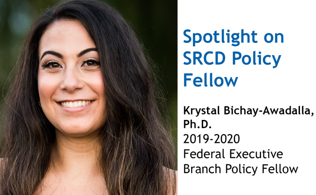 Krystal Bichay-Awadalla, Ph.D.